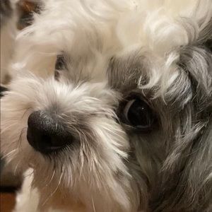 Meet your Posher, Cristina